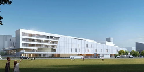 金中江心洲分校新技术开发项目启动，智慧校园建设再提速