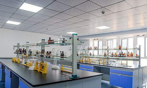 浅谈食品工厂设计化验室的设计原则与技术开发要点